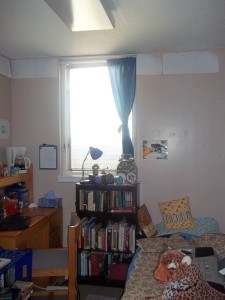 This is what my room looks like as you walk through the door. For the record, that black cat in the picture next to the window is Lysander, one of the three cats my family had when I was little. The picture was taken before I was born.